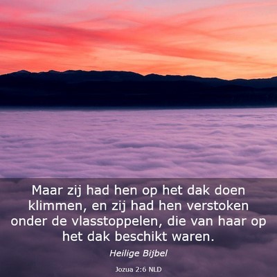 Picture 03 - Jozua 2:6 NLD - Maar zij had hen op het dak doen klimmen, en zij - Bible Verse Picture