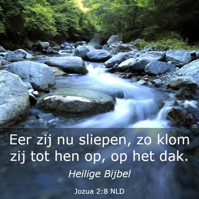 Picture 03 - Jozua 2:8 NLD - Eer zij nu sliepen, zo klom zij tot hen op, op - Bible Verse Picture