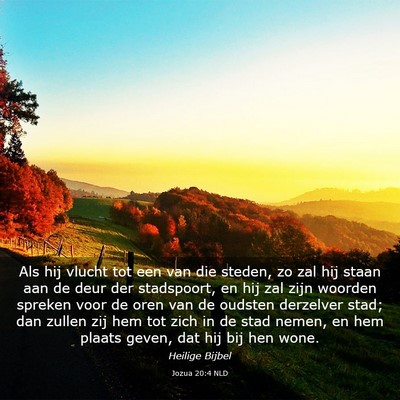 Picture 03 - Jozua 20:4 NLD - Als hij vlucht tot een van die steden, zo zal hij - Bible Verse Picture