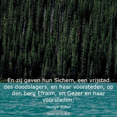 Picture 03 - Jozua 21:21 NLD - En zij gaven hun Sichem, een vrijstad des - Bible Verse Picture