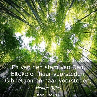 Picture 03 - Jozua 21:23 NLD - En van den stam van Dan, Elteke en haar - Bible Verse Picture