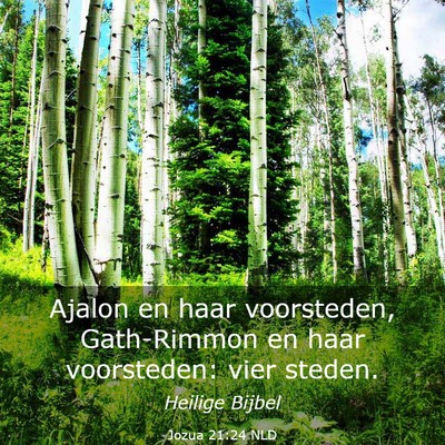 Picture 03 - Jozua 21:24 NLD - Ajalon en haar voorsteden, Gath-Rimmon en haar - Bible Verse Picture