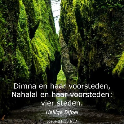 Picture 03 - Jozua 21:35 NLD - Dimna en haar voorsteden, Nahalal en haar - Bible Verse Picture