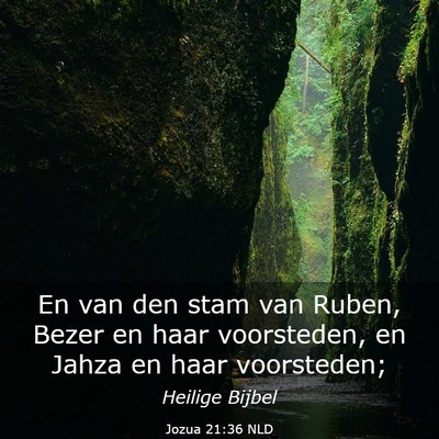 Picture 03 - Jozua 21:36 NLD - En van den stam van Ruben, Bezer en haar - Bible Verse Picture