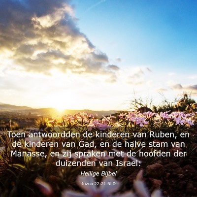 Picture 03 - Jozua 22:21 NLD - Toen antwoordden de kinderen van Ruben, en de - Bible Verse Picture