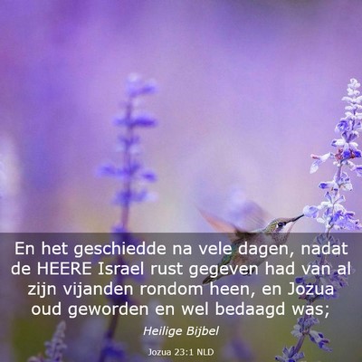Picture 03 - Jozua 23:1 NLD - En het geschiedde na vele dagen, nadat de HEERE - Bible Verse Picture