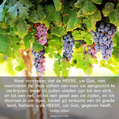 Picture 03 - Jozua 23:13 NLD - Weet voorzeker, dat de HEERE, uw God, niet - Bible Verse Picture