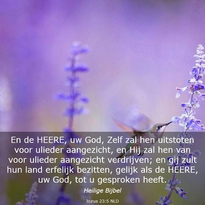 Picture 03 - Jozua 23:5 NLD - En de HEERE, uw God, Zelf zal hen uitstoten voor - Bible Verse Picture
