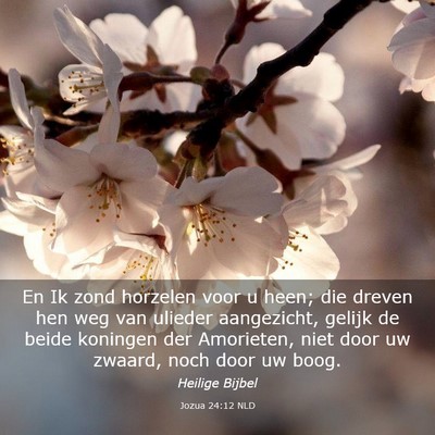 Picture 03 - Jozua 24:12 NLD - En Ik zond horzelen voor u heen; die dreven hen - Bible Verse Picture