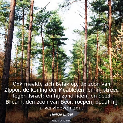 Picture 03 - Jozua 24:9 NLD - Ook maakte zich Balak op, de zoon van Zippor, de - Bible Verse Picture