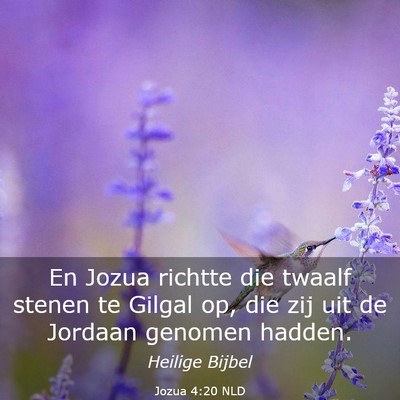 Picture 03 - Jozua 4:20 NLD - En Jozua richtte die twaalf stenen te Gilgal op, - Bible Verse Picture