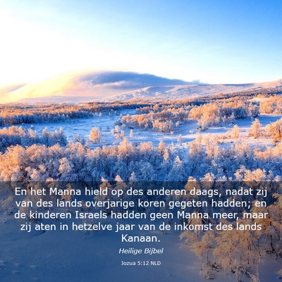 Picture 03 - Jozua 5:12 NLD - En het Manna hield op des anderen daags, nadat - Bible Verse Picture