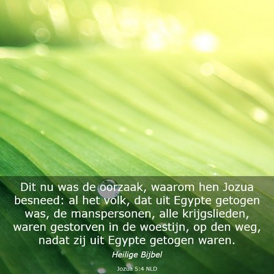 Picture 03 - Jozua 5:4 NLD - Dit nu was de oorzaak, waarom hen Jozua besneed: - Bible Verse Picture