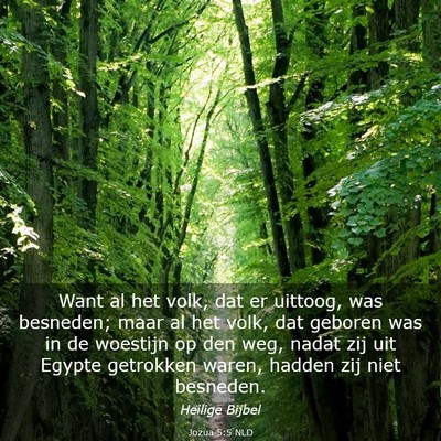 Picture 03 - Jozua 5:5 NLD - Want al het volk, dat er uittoog, was besneden; - Bible Verse Picture