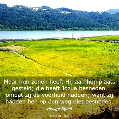 Picture 03 - Jozua 5:7 NLD - Maar hun zonen heeft Hij aan hun plaats gesteld; - Bible Verse Picture