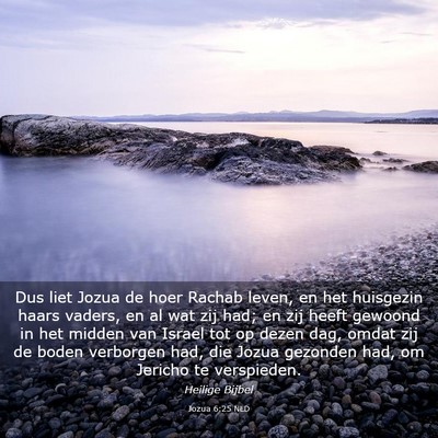 Picture 03 - Jozua 6:25 NLD - Dus liet Jozua de hoer Rachab leven, en het - Bible Verse Picture