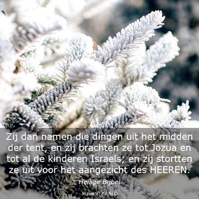 Picture 03 - Jozua 7:23 NLD - Zij dan namen die dingen uit het midden der tent, - Bible Verse Picture