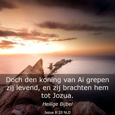 Picture 03 - Jozua 8:23 NLD - Doch den koning van Ai grepen zij levend, en zij - Bible Verse Picture