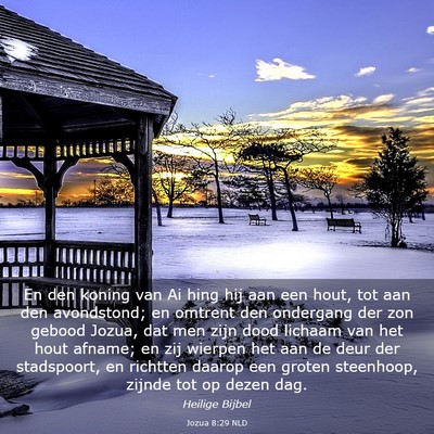 Picture 03 - Jozua 8:29 NLD - En den koning van Ai hing hij aan een hout, tot - Bible Verse Picture
