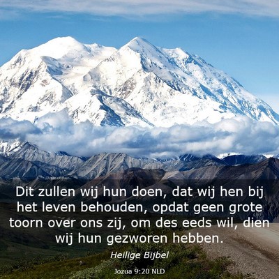 Picture 03 - Jozua 9:20 NLD - Dit zullen wij hun doen, dat wij hen bij het - Bible Verse Picture