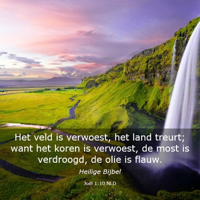 Picture 03 - Joël 1:10 NLD - Het veld is verwoest, het land treurt; want het - Bible Verse Picture