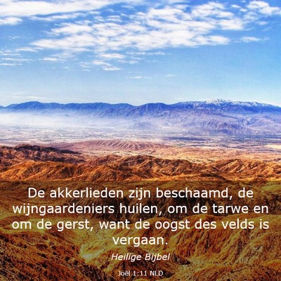 Picture 03 - Joël 1:11 NLD - De akkerlieden zijn beschaamd, de wijngaardeniers - Bible Verse Picture