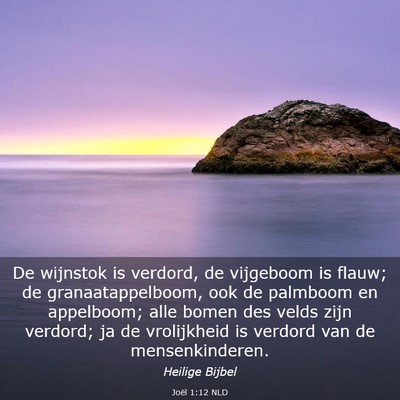 Picture 03 - Joël 1:12 NLD - De wijnstok is verdord, de vijgeboom is flauw; de - Bible Verse Picture