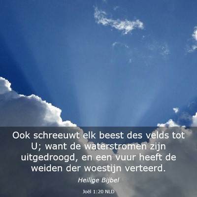 Picture 03 - Joël 1:20 NLD - Ook schreeuwt elk beest des velds tot U; want de - Bible Verse Picture