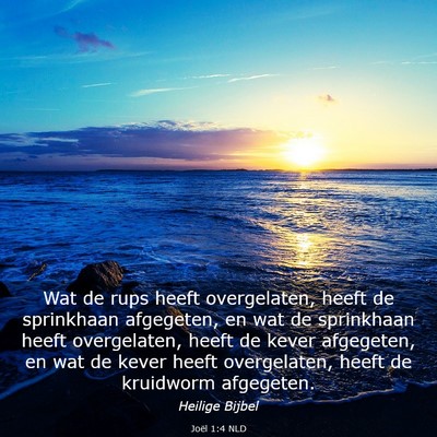Picture 03 - Joël 1:4 NLD - Wat de rups heeft overgelaten, heeft de - Bible Verse Picture