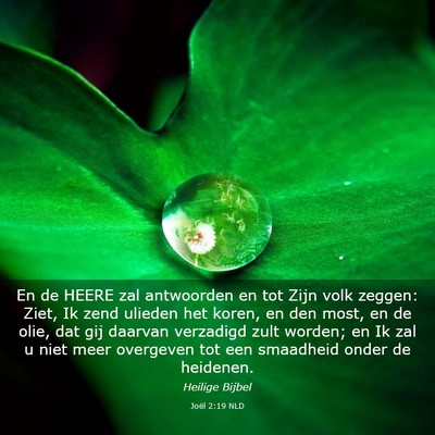 Picture 03 - Joël 2:19 NLD - En de HEERE zal antwoorden en tot Zijn volk - Bible Verse Picture
