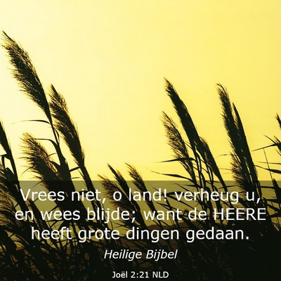 Picture 03 - Joël 2:21 NLD - Vrees niet, o land! verheug u, en wees blijde; - Bible Verse Picture
