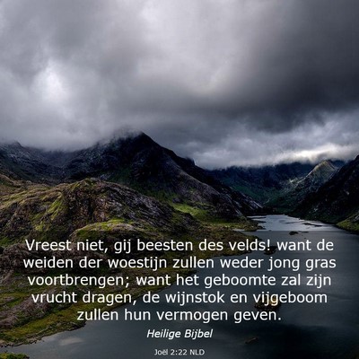 Picture 03 - Joël 2:22 NLD - Vreest niet, gij beesten des velds! want de - Bible Verse Picture
