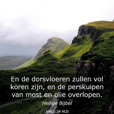 Picture 03 - Joël 2:24 NLD - En de dorsvloeren zullen vol koren zijn, en de - Bible Verse Picture
