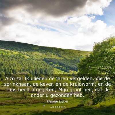 Picture 03 - Joël 2:25 NLD - Alzo zal Ik ulieden de jaren vergelden, die de - Bible Verse Picture