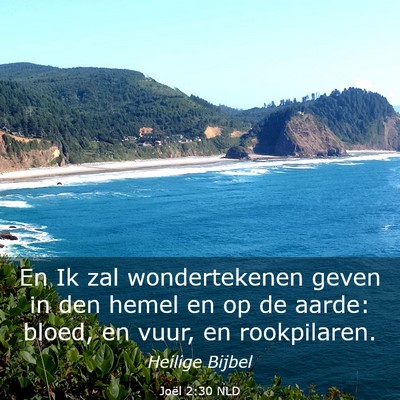 Picture 03 - Joël 2:30 NLD - En Ik zal wondertekenen geven in den hemel en op - Bible Verse Picture