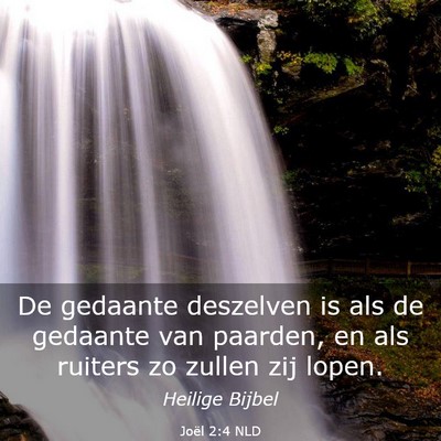 Picture 03 - Joël 2:4 NLD - De gedaante deszelven is als de gedaante van - Bible Verse Picture
