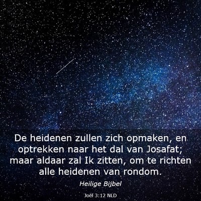 Picture 03 - Joël 3:12 NLD - De heidenen zullen zich opmaken, en optrekken - Bible Verse Picture