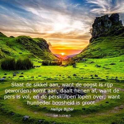 Picture 03 - Joël 3:13 NLD - Slaat de sikkel aan, want de oogst is rijp - Bible Verse Picture