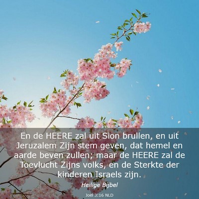 Picture 03 - Joël 3:16 NLD - En de HEERE zal uit Sion brullen, en uit - Bible Verse Picture
