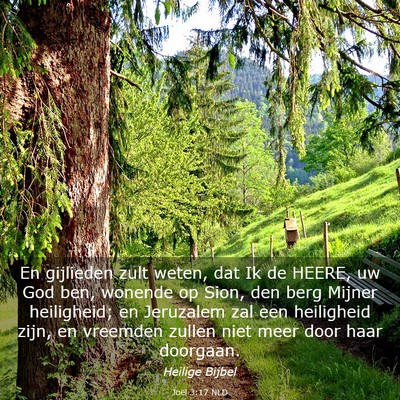 Picture 03 - Joël 3:17 NLD - En gijlieden zult weten, dat Ik de HEERE, uw God - Bible Verse Picture