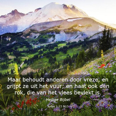 Picture 03 - Judas 1:23 NLD - Maar behoudt anderen door vreze, en grijpt ze uit - Bible Verse Picture