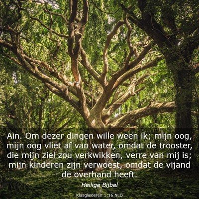 Picture 03 - Klaagliederen 1:16 NLD - Ain. Om dezer dingen wille ween ik; mijn oog, - Bible Verse Picture