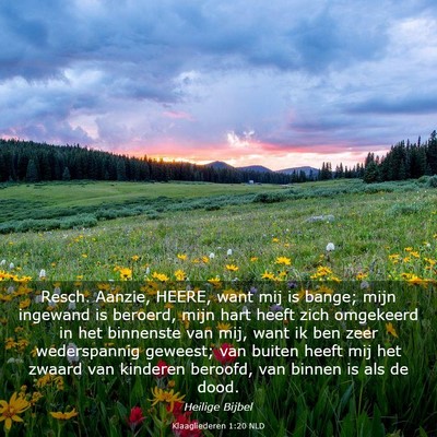 Picture 03 - Klaagliederen 1:20 NLD - Resch. Aanzie, HEERE, want mij is bange; mijn - Bible Verse Picture
