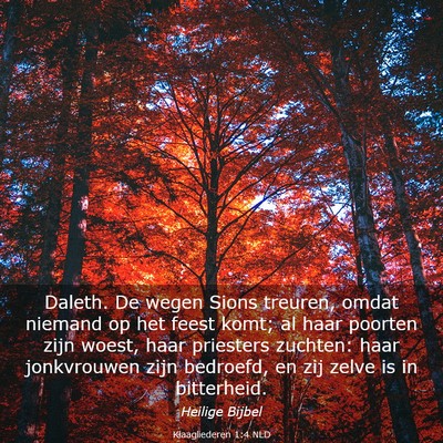 Picture 03 - Klaagliederen 1:4 NLD - Daleth. De wegen Sions treuren, omdat niemand op - Bible Verse Picture