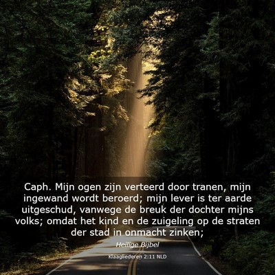 Picture 03 - Klaagliederen 2:11 NLD - Caph. Mijn ogen zijn verteerd door tranen, mijn - Bible Verse Picture