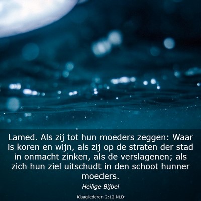 Picture 03 - Klaagliederen 2:12 NLD - Lamed. Als zij tot hun moeders zeggen: Waar is - Bible Verse Picture