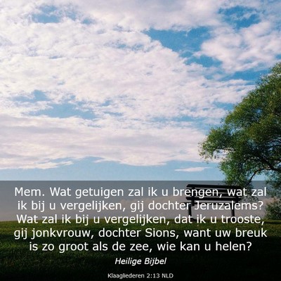 Picture 03 - Klaagliederen 2:13 NLD - Mem. Wat getuigen zal ik u brengen, wat zal ik - Bible Verse Picture