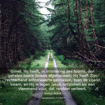 Picture 03 - Klaagliederen 2:3 NLD - Gimel. Hij heeft, in ontsteking des toorns, den - Bible Verse Picture