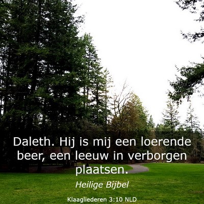 Picture 03 - Klaagliederen 3:10 NLD - Daleth. Hij is mij een loerende beer, een leeuw - Bible Verse Picture