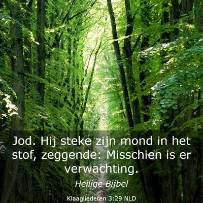Picture 03 - Klaagliederen 3:29 NLD - Jod. Hij steke zijn mond in het stof, zeggende: - Bible Verse Picture